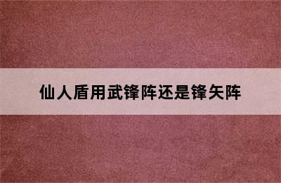 仙人盾用武锋阵还是锋矢阵