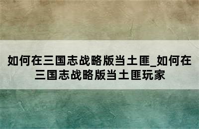 如何在三国志战略版当土匪_如何在三国志战略版当土匪玩家