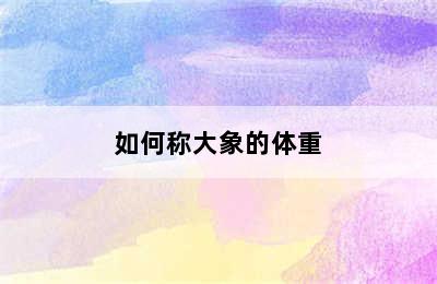 如何称大象的体重