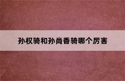 孙权骑和孙尚香骑哪个厉害