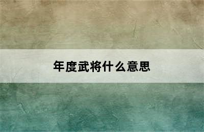 年度武将什么意思