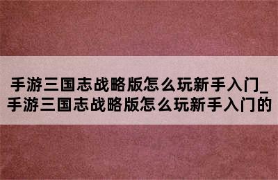 手游三国志战略版怎么玩新手入门_手游三国志战略版怎么玩新手入门的