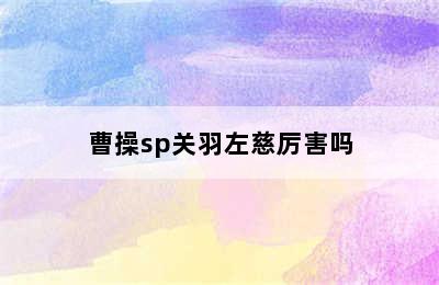 曹操sp关羽左慈厉害吗