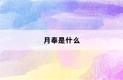 月奉是什么