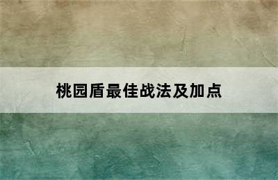 桃园盾最佳战法及加点