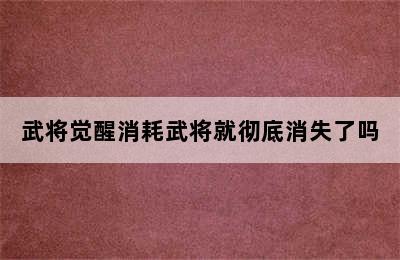 武将觉醒消耗武将就彻底消失了吗