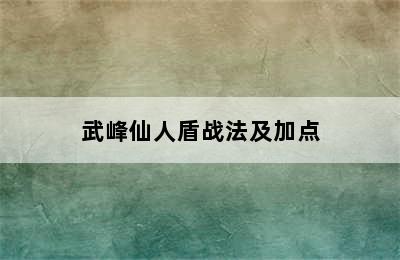 武峰仙人盾战法及加点