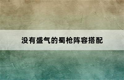 没有盛气的蜀枪阵容搭配