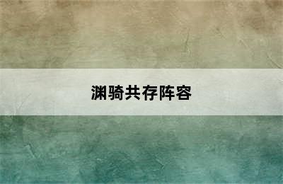 渊骑共存阵容
