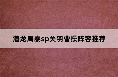 潜龙周泰sp关羽曹操阵容推荐