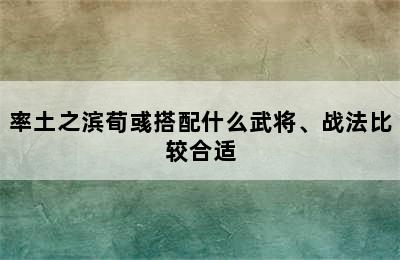 率土之滨荀彧搭配什么武将、战法比较合适