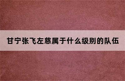 甘宁张飞左慈属于什么级别的队伍