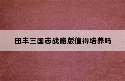 田丰三国志战略版值得培养吗