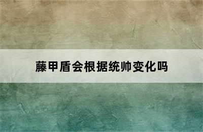 藤甲盾会根据统帅变化吗