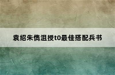 袁绍朱儁沮授t0最佳搭配兵书