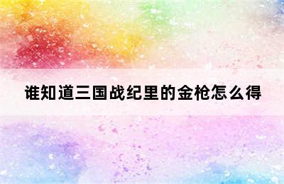 谁知道三国战纪里的金枪怎么得