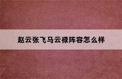 赵云张飞马云禄阵容怎么样