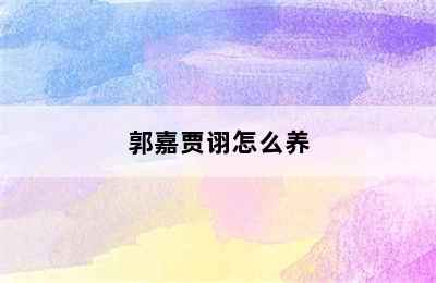 郭嘉贾诩怎么养