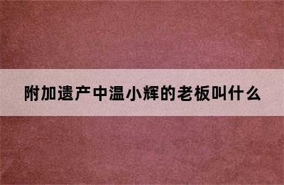 附加遗产中温小辉的老板叫什么