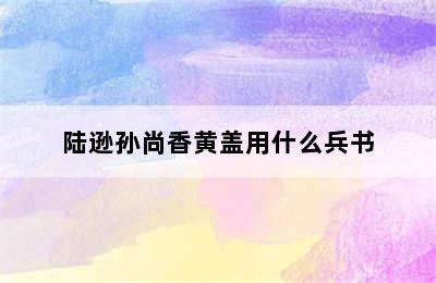 陆逊孙尚香黄盖用什么兵书