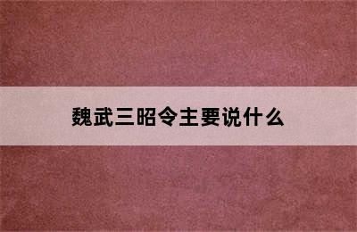 魏武三昭令主要说什么